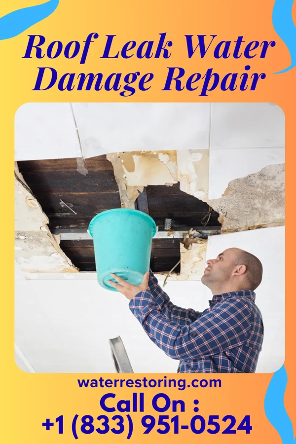 Roof Leak Water Damage Repair in Dorchester, TX